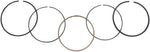 WSM Piston Rings For Kawasaki KLF 220 2X4 1998-2002