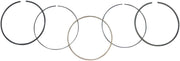 WSM Piston Rings For Honda TRX350 TM 2000-2006 Standard