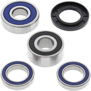 All Balls Wheel Bearing Kit For Suzuki TS 125 1975-1977 Rear