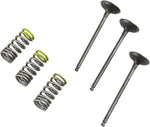 Prox Valve & Spring Kit For Gas Gas EC 250 2010-2011 Intake - Steel