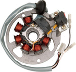 Ricks Stator For Eton AXL 50 2000