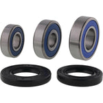 All Balls Wheel Bearing Kit For KTM Duke 125 ABS 2024-2026