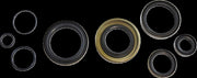 Vintco Oil Seal Kit For Kawasaki KX250 1974-1976