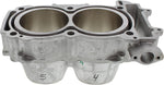 Cylinder Works Standard Bore Cylinder For Polaris ACE 900 XC 4X4 2018-2019