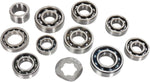 Hot Rods Transmission Bearing Kit For Yamaha YFM 350 Raptor 2004