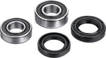 Factory Links Wheel Bearing Kit For Honda CR80 1995 Rear