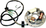WSM Stator Plate Assembly For Yamaha RA 700 1994-1997