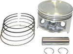 WSM Piston Kit For Honda TRX350 TM 2000-2006 +1.00 mm