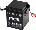BS Battery SLA AGM Battery For Suzuki A 100 1976 - Black White