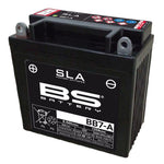 BS Battery SLA AGM Battery For Explorer ARGON 330 2X4 2012-2013 - Black