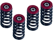Barnett Clutch Spring Kit For Ducati 1098 2007-2008 - Black/Powder-Red