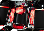 Ciro Filler Panel Lights For Harley Davidson FLH 1868 ABS 2021 Rear Clear