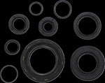 Vintco Oil Seal Kit For Honda CR250 1978-1979