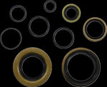 Vintco Oil Seal Kit For Kawasaki KX250 1978-1979