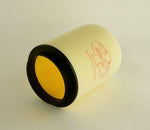DT-1 Dual Layer Air Filter For Honda TRX400EX 2000-2008