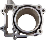 Moose Racing Replacement Cylinder For Polaris ACE 570 4X4 2018-2019 - Grey