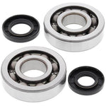 All Balls Crank Bearing & Seal Kit - Kawasaki KX250 2002-08