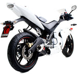 Scorpion Power Cone Satin Titanium Oval Exhaust - Yamaha YZF R 125 Full System 2008 - 2013