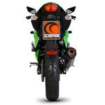 Scorpion Serket Taper Carbon Oval Exhaust - Kawasaki NINJA 250R 2008 - 2012
