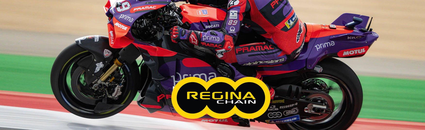 Regina Chain & Sprocket Kits