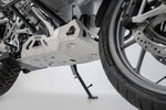 SW Motech Engine Guard - BMW R 1250 GS 2019-2024 - Brushed/Silver