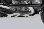 SW Motech Engine Guard - BMW R 1250 GS 2019-2024 - Brushed/Silver