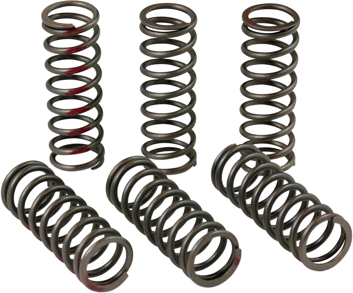 Pro Circuit Clutch Spring Set - Honda CRF450RX 2017 – Ghostbikes