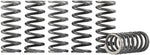 Hinson Clutch Spring Kit - Suzuki DRZ400 2000-04, LTZ400 2005-11
