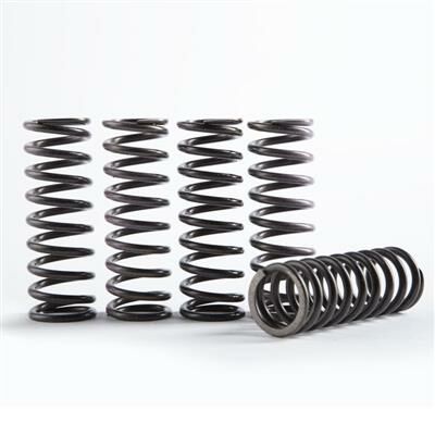 Hinson Clutch Spring Kit - Yamaha YZ85 2002-19, YZ65 2018-19