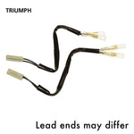 Oxford Indicator Leads Triumph