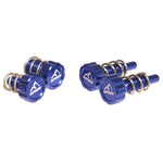 Apico Brake & Clutch Master Cylinder Adjuster Set For AJP & Braktec Blue