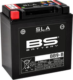 BS Battery SLA AGM Battery For Kawasaki A1 250 - Black