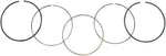 WSM Piston Rings For Honda TRX350 TM 2000-2006 +1.00 mm