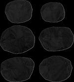 Moose Racing Seat Cover For Can Am Defender HD10 4X4 2018-2025 - Black
