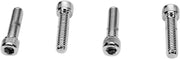 Drag Specialties Bolt Set For Harley Davidson FL 1200 1974-1977 - Silver