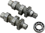 Andrews Chain Drive Cam Set For Harley Davidson FLHR 1450 1999-2003 21 Series