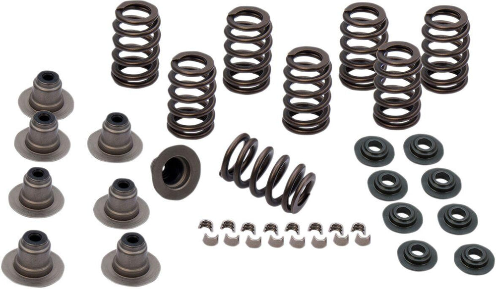 S&S Cycle Valve Spring Kit For Harley Davidson FLDE 1750 2018-2020