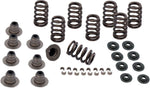 S&S Cycle Valve Spring Kit For Harley Davidson FLDE 1750 2018-2020