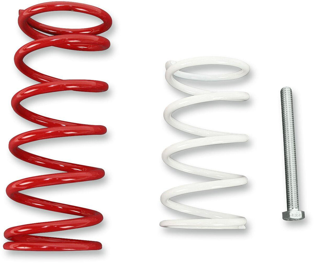 EPI Economy Clutch Kit For Can Am Renegade 800 EFI HO 4X4 2007-2008