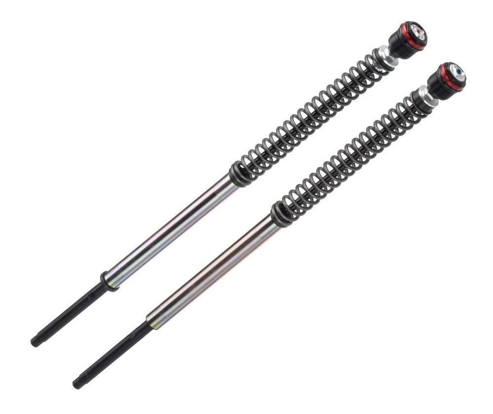 Bitubo JBH12 Series Fork Cartridges For Harley Davidson XL1200C 2004-2008