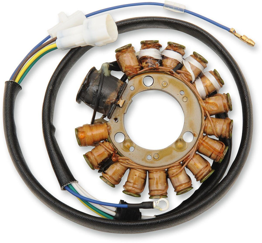 Ricks Stator For Yamaha TTR225 2000-2004