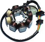 Ricks Stator For Honda TRX250 1997-2000