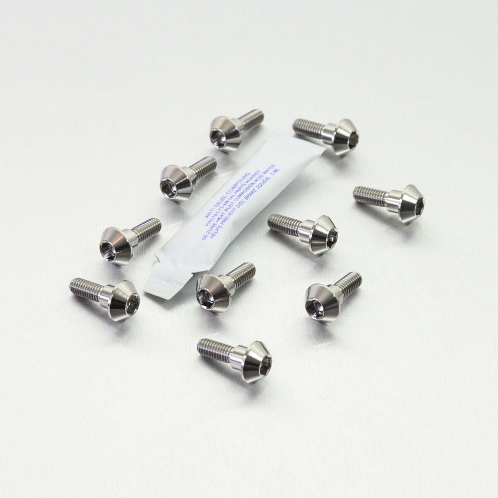 Pro Bolt Titanium Brake Disc Mounting Bolt Kit For Yamaha FZ1 1000S ABS 2007-2009 - Silver/Unfinished
