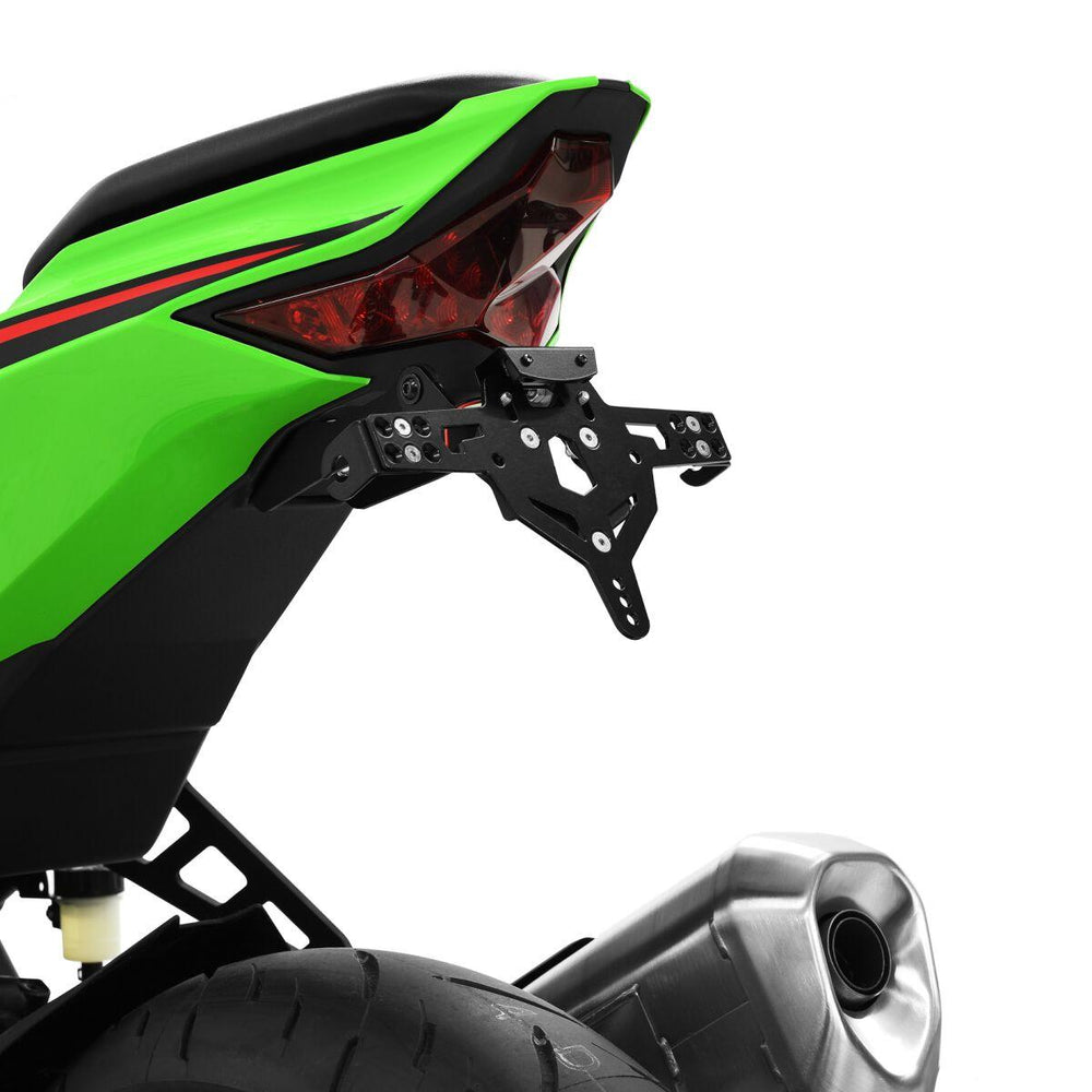 Zieger PRO Tail Unit Type D For Harley Davidson FXDL 1690 2016 Rear