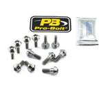 Pro Bolt Titanium Brake Disc Mounting Bolt Kit For Yamaha FJR 1300 ABS 2013-2015 - Silver/Unfinished