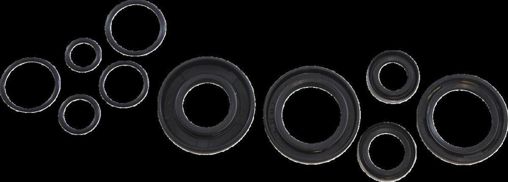 Vintco Oil Seal Kit For Kawasaki KX125 A 1978-1979