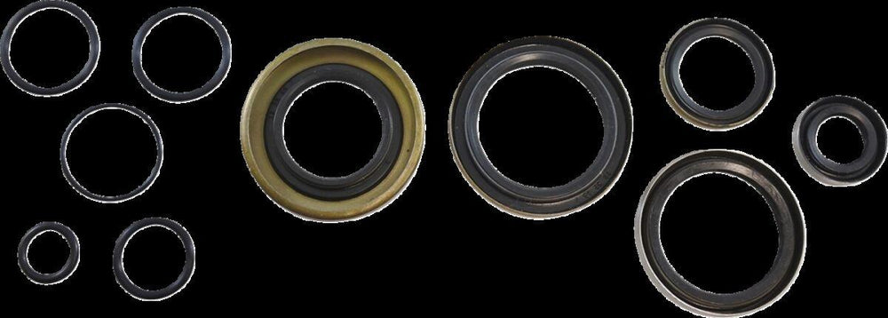 Vintco Oil Seal Kit For Kawasaki KX250 1978-1979