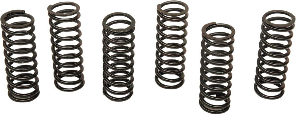 Barnett Clutch Spring Kit For Honda CBR 1100 XX 1999-2003 - Black
