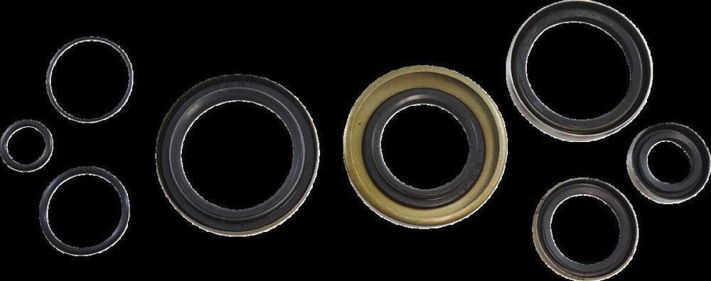 Vintco Oil Seal Kit For Kawasaki KX250 1974-1976