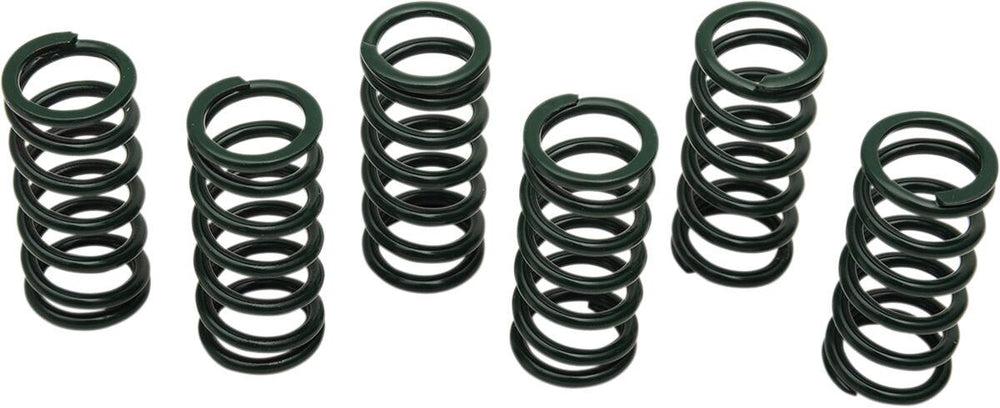 Barnett Clutch Spring Kit For Yamaha FJ 1100 1984-1985 - Black